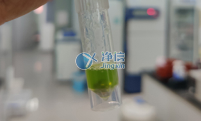 上海凈信冷凍研磨儀研磨番茄葉片實(shí)驗|浙江大學(xué)農學(xué)院用于后續提RN···